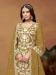 Picture of Comely Organza Olive Straight Cut Salwar Kameez