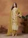 Picture of Comely Organza Olive Straight Cut Salwar Kameez