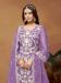 Picture of Organza Rosy Brown Straight Cut Salwar Kameez