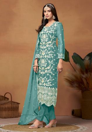 Picture of Organza Cadet Blue Straight Cut Salwar Kameez