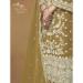 Picture of Statuesque Organza Sienna Straight Cut Salwar Kameez