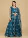 Picture of Statuesque Net Midnight Blue Lehenga Choli