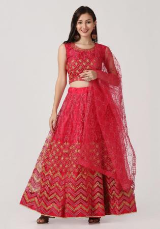 Picture of Radiant Net Salmon Lehenga Choli