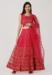 Picture of Radiant Net Salmon Lehenga Choli