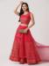 Picture of Radiant Net Salmon Lehenga Choli