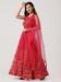 Picture of Radiant Net Salmon Lehenga Choli