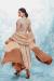 Picture of Ideal Georgette Tan Readymade Salwar Kameez