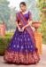 Picture of Pretty Silk Purple Lehenga Choli