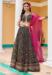 Picture of Classy Chiffon Sienna Readymade Lehenga Choli