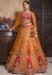 Picture of Bewitching Silk Burly Wood Lehenga Choli