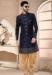 Picture of Radiant Synthetic Navy Blue Indo Western
