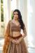 Picture of Marvelous Net Sienna Lehenga Choli