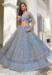 Picture of Delightful Net Light Steel Blue Lehenga Choli