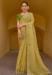 Picture of Splendid Silk & Organza Khaki Saree