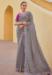 Picture of Lovely Silk & Organza Grey Saree