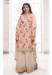 Picture of Delightful Chiffon Tan Straight Cut Salwar Kameez