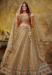 Picture of Ravishing Georgette & Net Dark Khaki Lehenga Choli