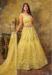 Picture of Graceful Georgette & Net Khaki Lehenga Choli