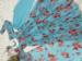 Picture of Sublime Cotton Cadet Blue Readymade Salwar Kameez