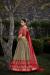 Picture of Bewitching Silk Bisque Lehenga Choli