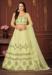 Picture of Resplendent Net Sandy Brown Lehenga Choli