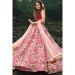 Picture of Well Formed Net Tan Lehenga Choli