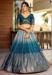 Picture of Elegant Chiffon Light Sea Green Lehenga Choli