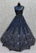 Picture of Statuesque Net Dark Slate Blue Lehenga Choli