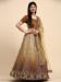 Picture of Fascinating Net Sienna Lehenga Choli