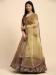 Picture of Fascinating Net Sienna Lehenga Choli