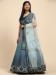 Picture of Taking Net Light Slate Grey Lehenga Choli