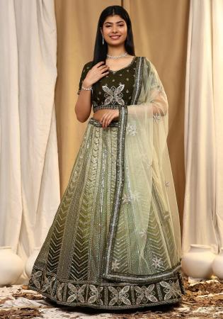 Picture of Fine Net Dark Khaki Lehenga Choli