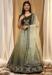 Picture of Fine Net Dark Khaki Lehenga Choli