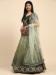 Picture of Fine Net Dark Khaki Lehenga Choli