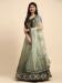 Picture of Fine Net Dark Khaki Lehenga Choli