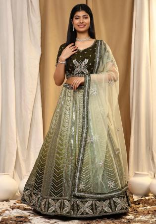 Picture of Nice Net Dark Sea Green Lehenga Choli