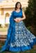 Picture of Beautiful Silk Light Sea Green Lehenga Choli