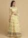 Picture of Appealing Net Pale Golden Rod Lehenga Choli