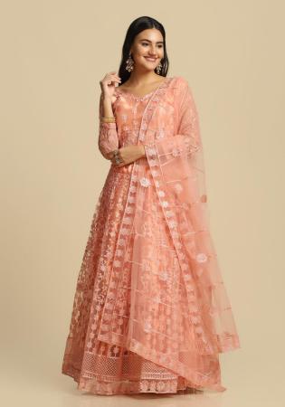 Picture of Ideal Net Light Coral Lehenga Choli