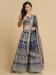 Picture of Radiant Net & Silk Navy Blue Lehenga Cholis