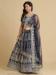 Picture of Radiant Net & Silk Navy Blue Lehenga Cholis