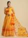 Picture of Statuesque Net & Silk Sandy Brown Lehenga Cholis