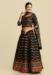 Picture of Nice Net & Silk Black Lehenga Cholis