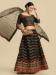 Picture of Nice Net & Silk Black Lehenga Cholis