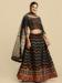 Picture of Nice Net & Silk Black Lehenga Cholis