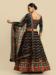 Picture of Nice Net & Silk Black Lehenga Cholis