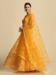 Picture of Pleasing Net & Silk Chocolate Lehenga Cholis