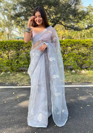 Picture of Magnificent Organza Gainsboro Saree