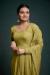 Picture of Georgette & Organza Dark Khaki Readymade Salwar Kameez