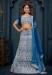 Picture of Resplendent Net Dark Blue Lehenga Choli